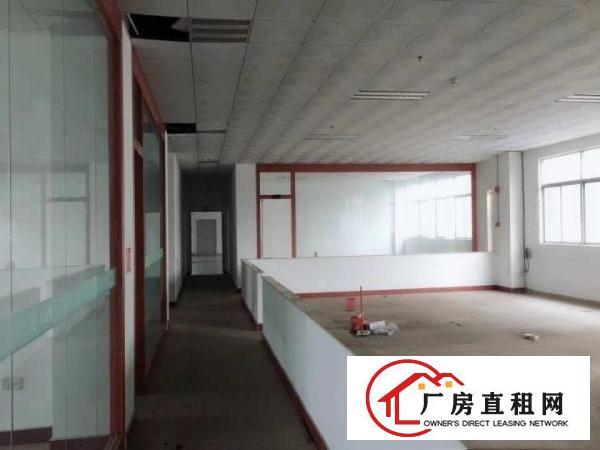 
龙岗宝龙高新产业园5楼整层出租3300平米可分