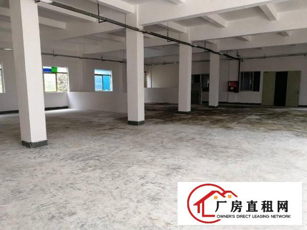 
横岗荷坳金源路独院厂房一二楼2500出租