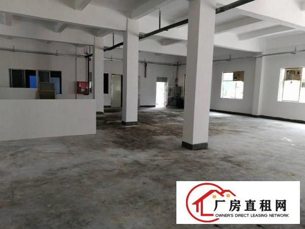 
横岗荷坳金源路独院厂房一二楼2500出租