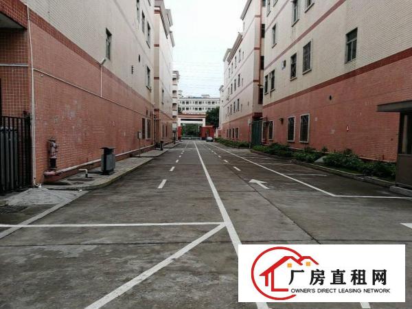 
龙岗宝龙工业城有红本独院厂房招租