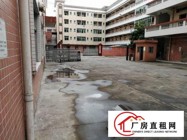 
龙岗宝龙工业城有红本独院厂房招租