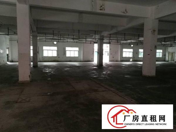 
龙岗宝龙工业城有红本独院厂房招租