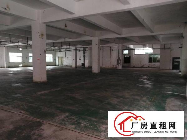 
龙岗宝龙工业城有红本独院厂房招租