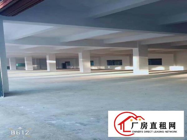 
龙岗南联新出精装修楼上1000平厂房招租可分租