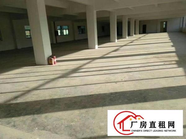 
龙岗南联新出精装修楼上1000平厂房招租可分租