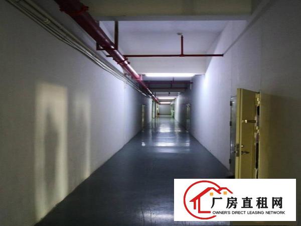 
龙岗宝龙新出原房东带装修厂房出租可分租带消防喷淋