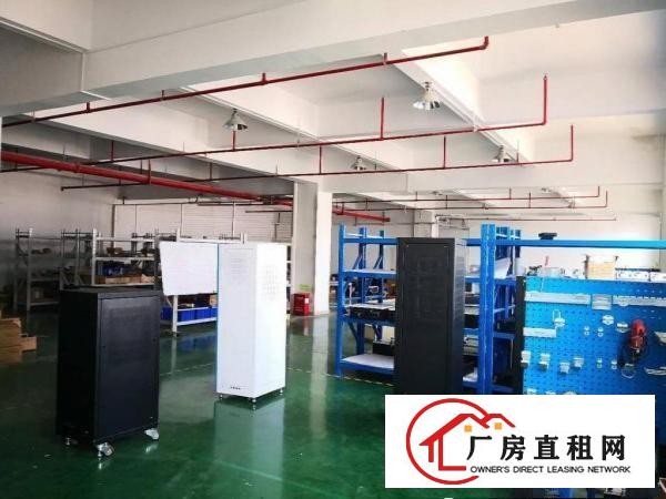 
龙岗宝龙新出原房东带装修厂房出租可分租带消防喷淋