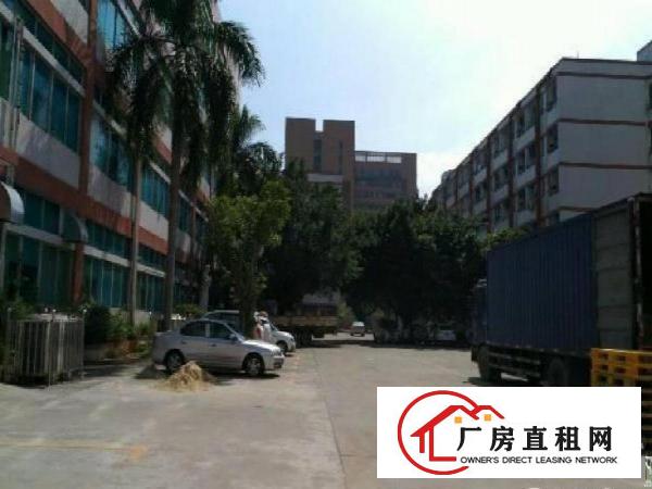 
龙岗宝龙新出原房东厂房1100平米带精装修可分租
