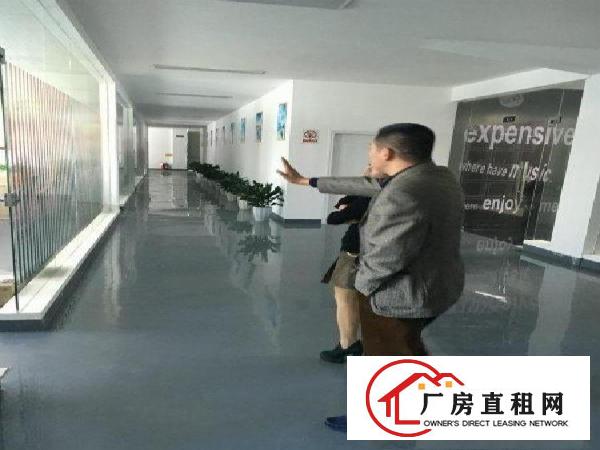 
龙岗宝龙新出独院11000厂房 办公楼可分租
