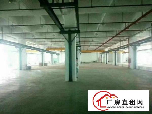 
龙岗宝龙新出独院11000厂房 办公楼可分租