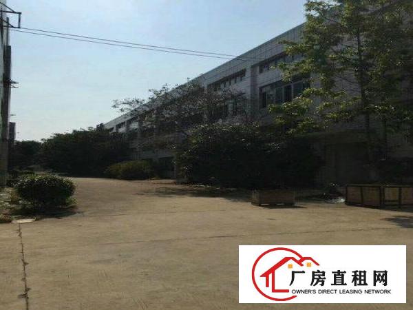 
龙岗新生小面积厂房450平精装厂房出租