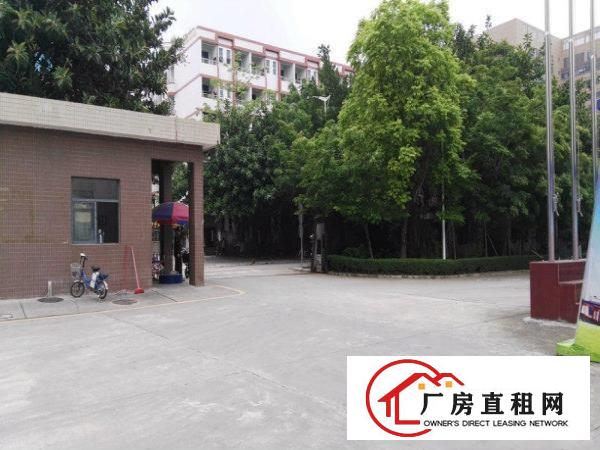 
龙岗盐龙大道新出厂房460平带装修出租