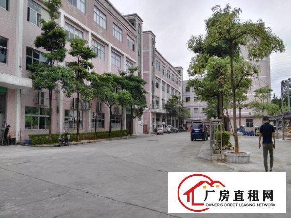 
龙岗盐龙大道新出厂房460平带装修出租
