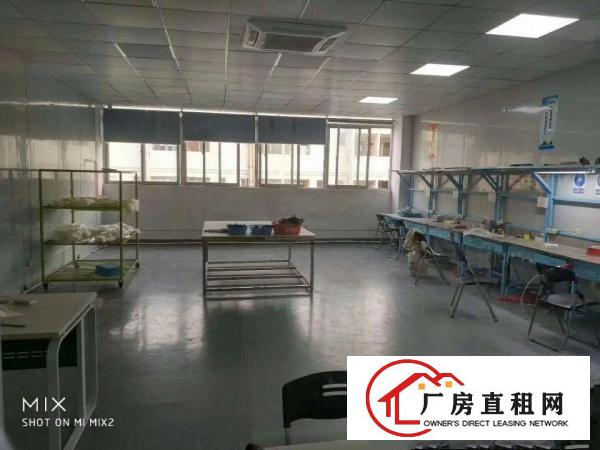 
龙岗龙东爱南路新出1楼2楼850平厂房出租