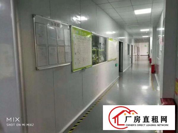 
龙岗龙东爱南路新出1楼2楼850平厂房出租