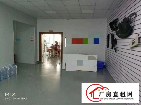 
龙岗龙东爱南路新出1楼2楼850平厂房出租