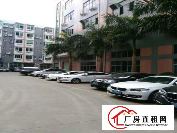 
龙岗新生科技园现空3楼1200平精装厂房出租