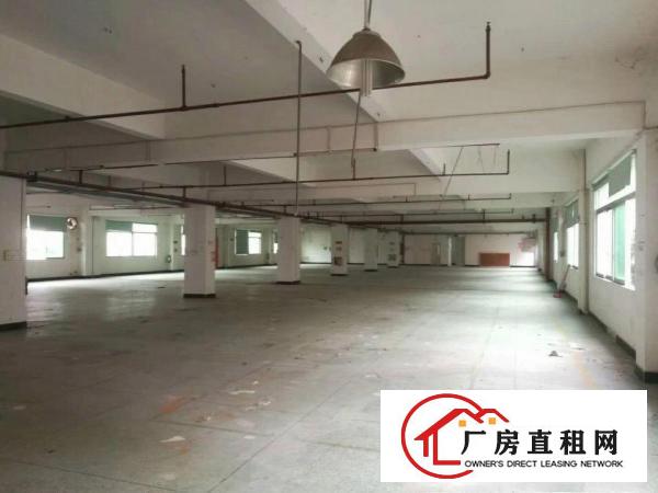 
龙岗大道边独院厂房5600平米出租