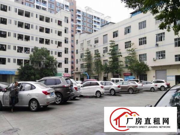 
龙岗同乐原房东实际面积3楼1350平米出租