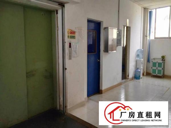 
龙岗同乐原房东实际面积3楼1350平米出租