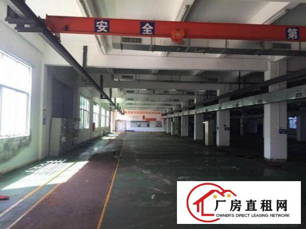 
龙岗宝龙工业区新出独院8000平米，可整租可分租