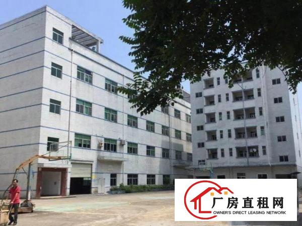 
龙岗中心城独门独院厂房5000平米可分租