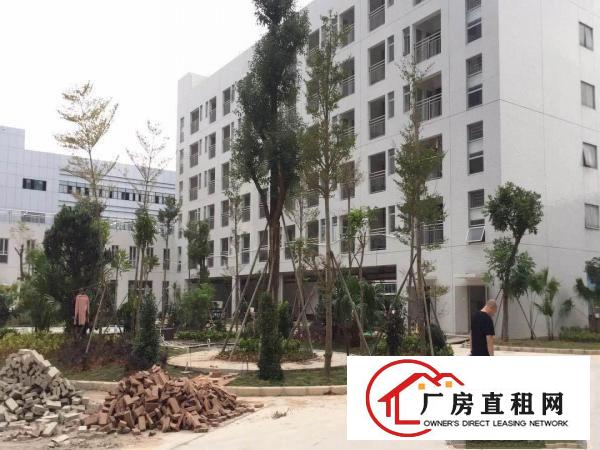 
龙岗中心城全新科技园全面隆重招租