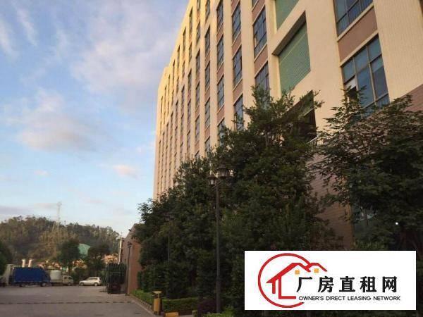 
龙岗中心城全新科技园全面隆重招租