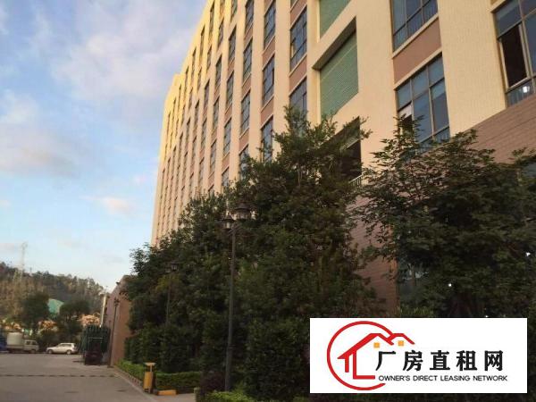 
龙岗中心城全新科技园全面隆重招租