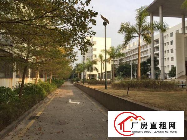 
龙岗宝龙单层面积6500平米厂房出租2楼可分租