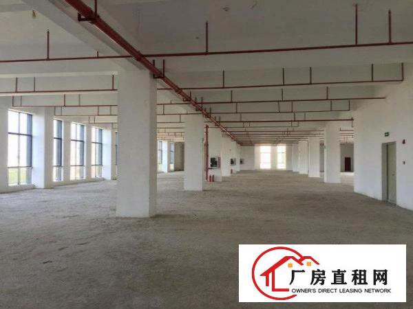 
龙岗宝龙单层面积6500平米厂房出租2楼可分租