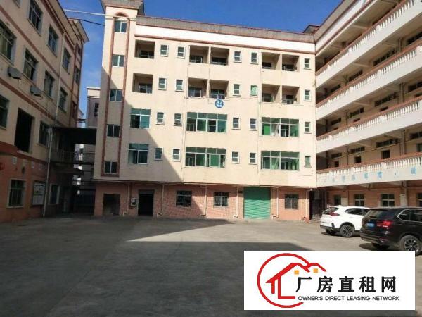
龙岗高新科技园4000至50000平出租