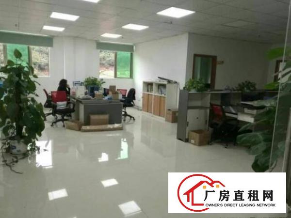 
龙岗原房东红本1加2楼2000平方精装修厂房出租
