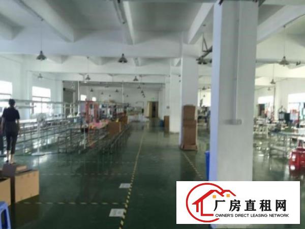 
龙岗原房东红本1加2楼2000平方精装修厂房出租