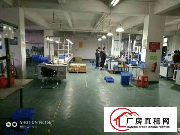 
龙岗楼上精装修3300平出租、深圳厂房出租