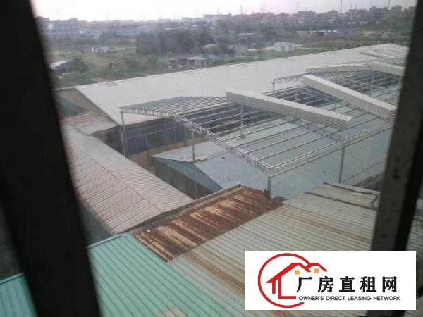 
东莞原房东独院40000平方无公摊14元出租