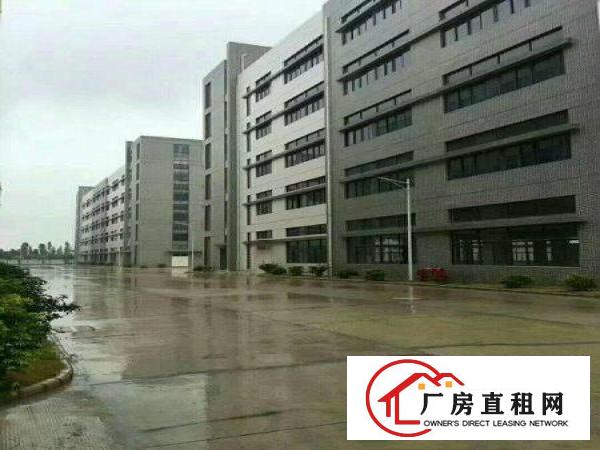 
龙岗宝龙楼上2000平精装修红本厂房出租