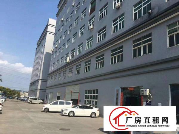 
龙岗宝龙工业区精装修厂房1650平米出租