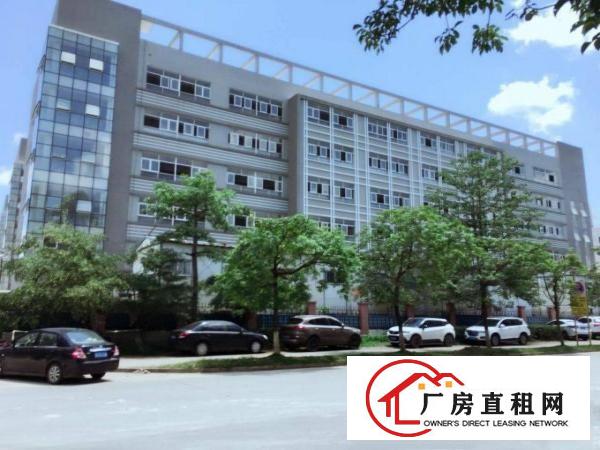 
南联全新独院厂房75000平米出租