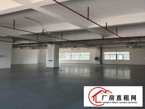 
龙岗宝龙新出独院楼上整层豪华装修3300平出租