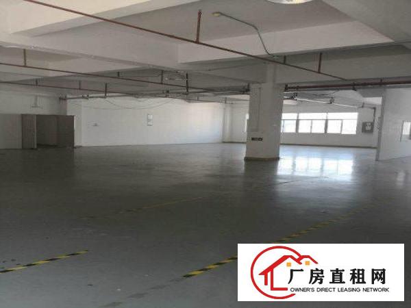 
龙岗宝龙新出独院楼上整层豪华装修3300平出租
