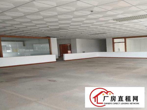 
龙岗宝龙新出独院楼上整层豪华装修3300平出租