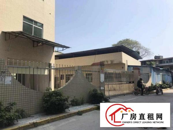 
龙岗新生北通道边原房东独院5580平空地2000平