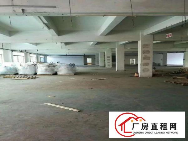 
龙岗新生北通道边原房东独院5580平空地2000平