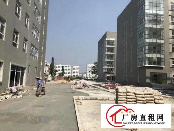 
龙岗红本高新产业园厂房总面积75000平米可以分租