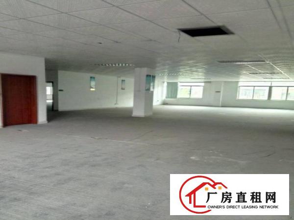 
龙岗五联新出楼上现成装修厂房1230平米可分租