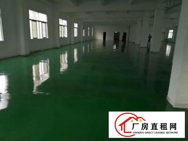 
龙岗中心城新出独门独院厂房5200平出租可分租