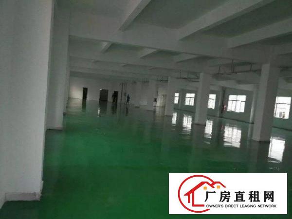 
龙岗中心城新出独门独院厂房5200平出租可分租