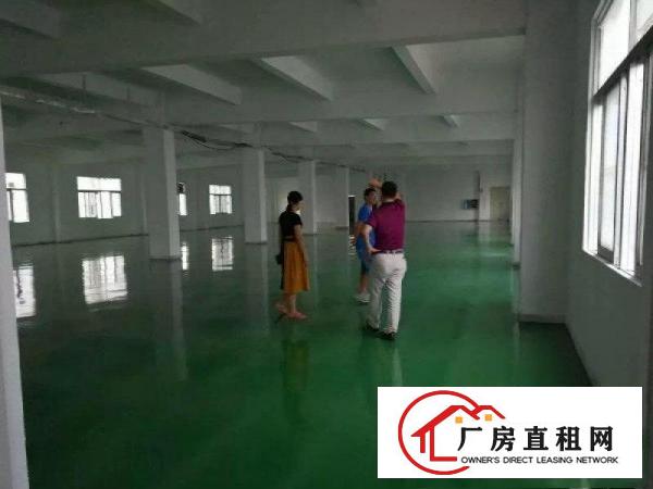 
龙岗中心城新出独门独院厂房5200平出租可分租