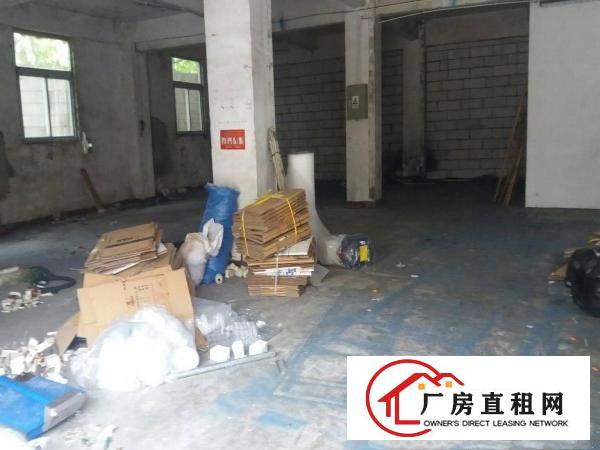 
同乐高速路口标准一楼380平方19元出租